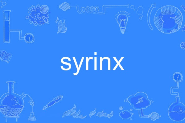 Syrinx Syrinx