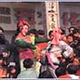 楊花柳 楊花柳