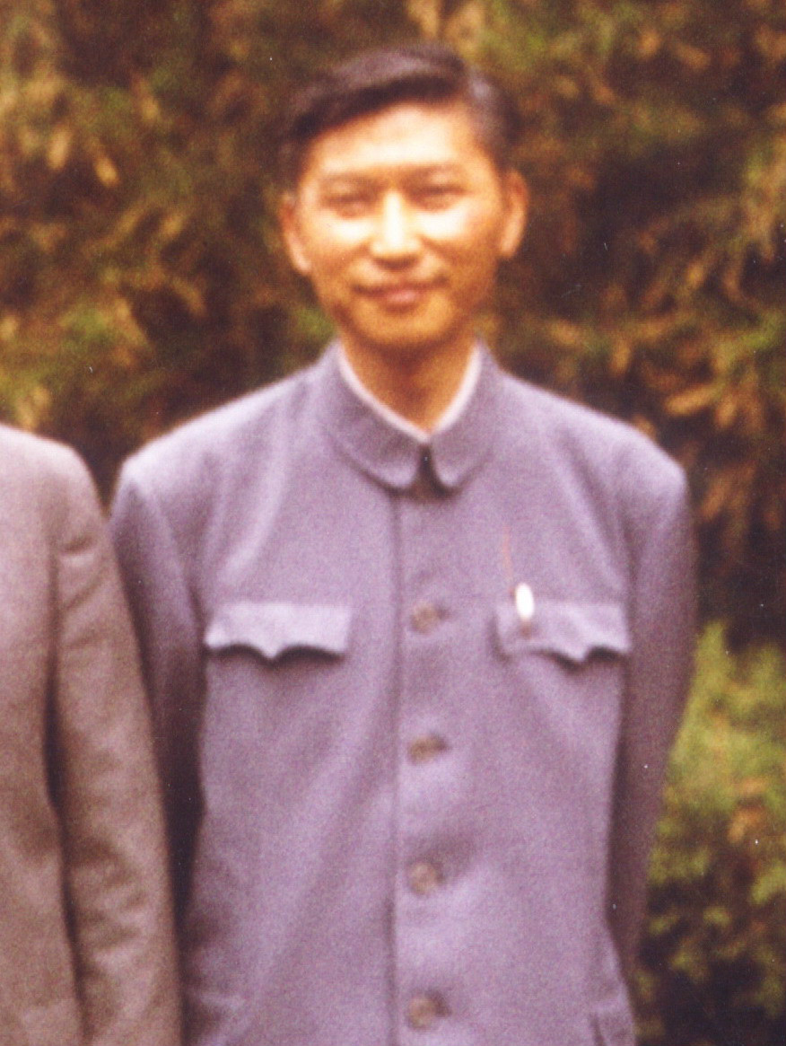 陳慶華(北京大學教授)