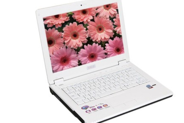 新藍SALO S10C-W116 新藍SALO S10C-W116