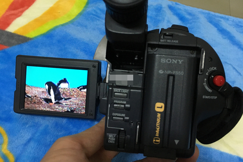 索尼CCD-TRV49E 索尼CCD-TRV49E