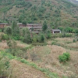 小高戚家村 小高戚家村