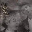 墜隕的愛