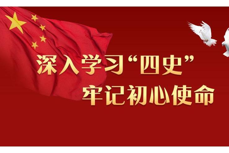 四史(習近平總書記提出的新四史) 四史(習近平總書記提出的新四史)