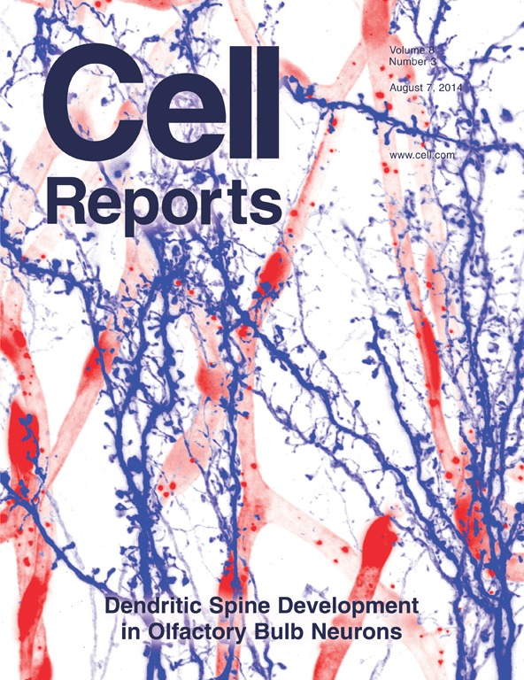 CELL(細胞（美國科學期刊）)