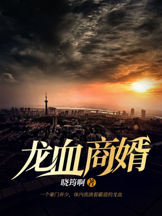 龍血商婿 龍血商婿