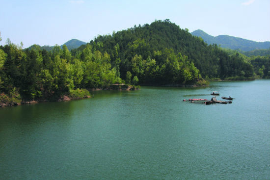 撫龍湖盛夏景色