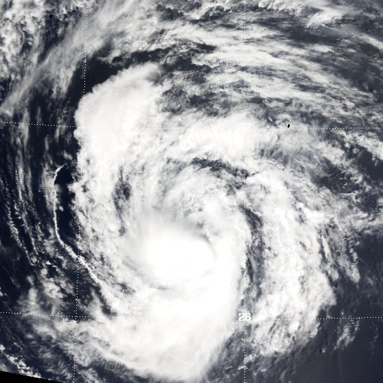 熱帶風暴尼格 衛星雲圖