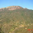 陽坡 陽坡