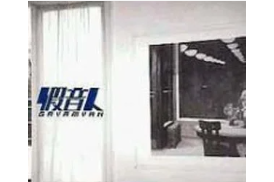 女飛賊(假音人演唱的歌曲作品) 女飛賊(假音人演唱的歌曲作品)
