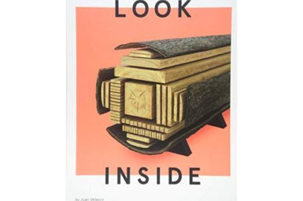 Look Inside Look Inside