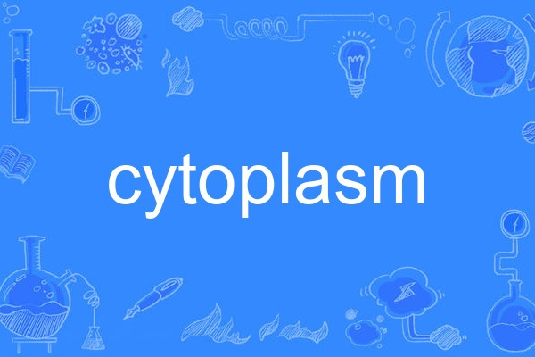 cytoplasm cytoplasm