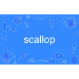 scallop scallop