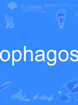 esophagoscope esophagoscope