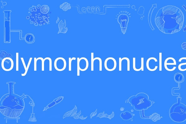 polymorphonuclear polymorphonuclear