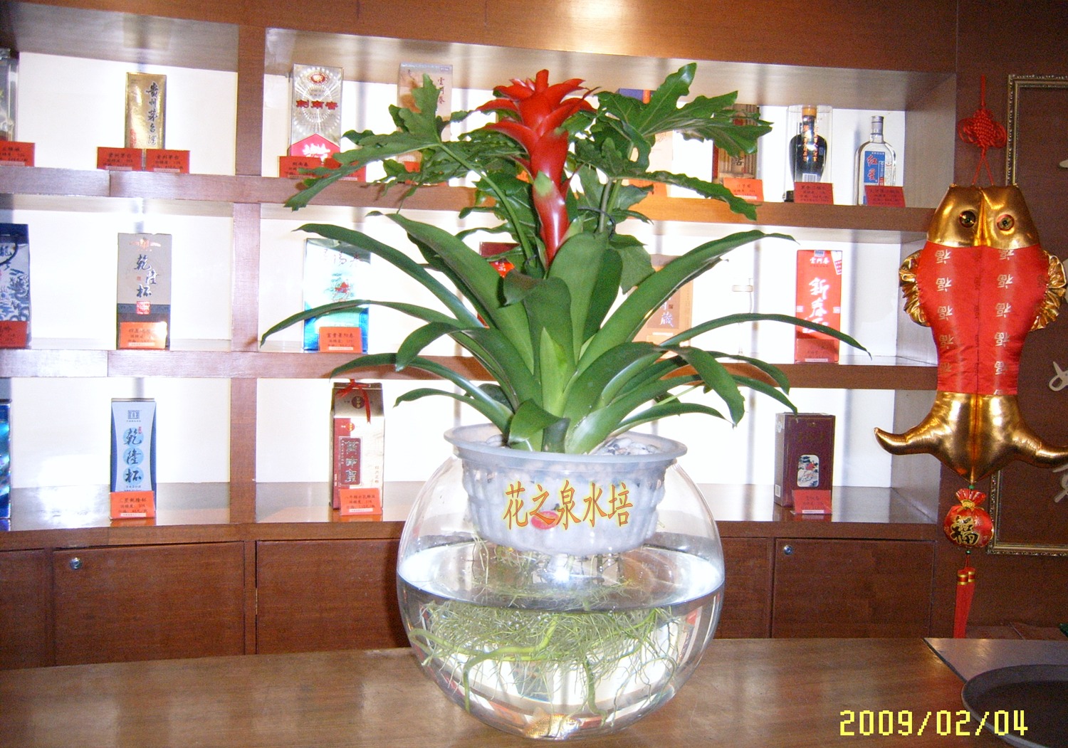 酒店吧檯上的花之泉水培