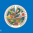 OEA(組織機構)
