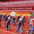 貴州省第七屆少數民族傳統體育運動會