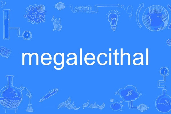 megalecithal megalecithal