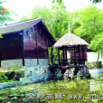 桐埜書屋