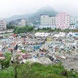 社頭村(漳州台商投資區角美鎮下轄村) 社頭村(漳州台商投資區角美鎮下轄村)