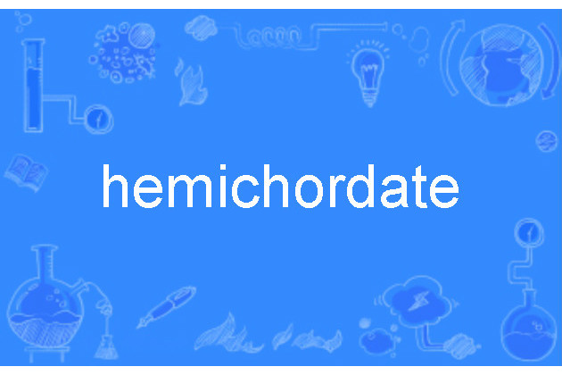 hemichordate hemichordate