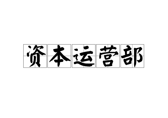 資本運營部 資本運營部