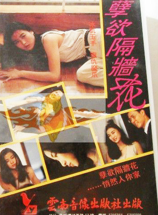 梁婉靜