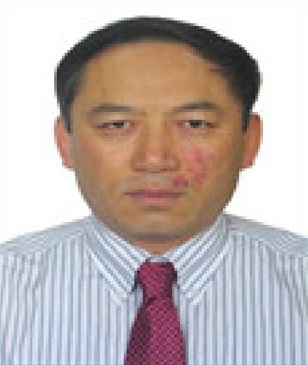 秦英傑(天津大學教授，博士生導師)