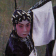 王芸英(中國花鼓戲女演員) 王芸英(中國花鼓戲女演員)