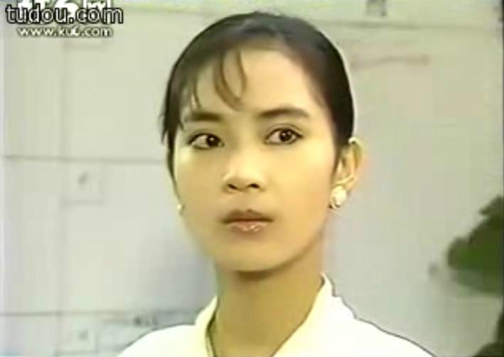 一往情深(台灣1989年華視電視劇)