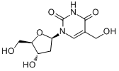 5-羥甲基脫氧尿苷