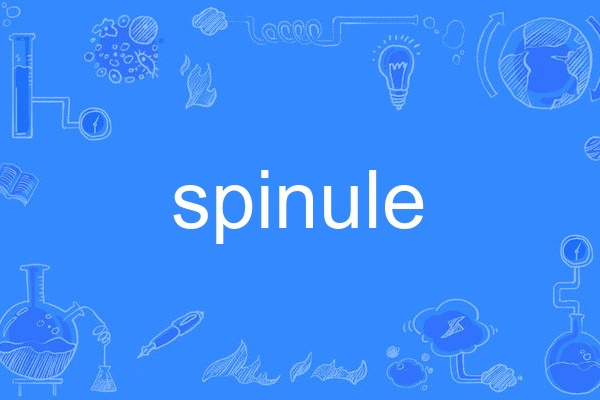 spinule spinule