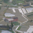 樟樹坪村 樟樹坪村
