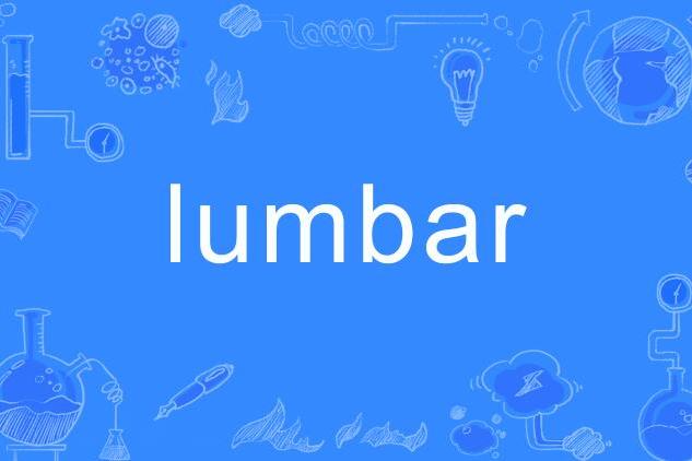 lumbar lumbar