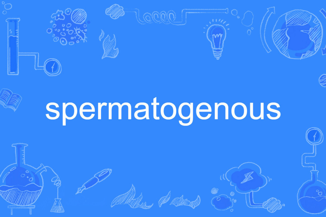 spermatogenous spermatogenous