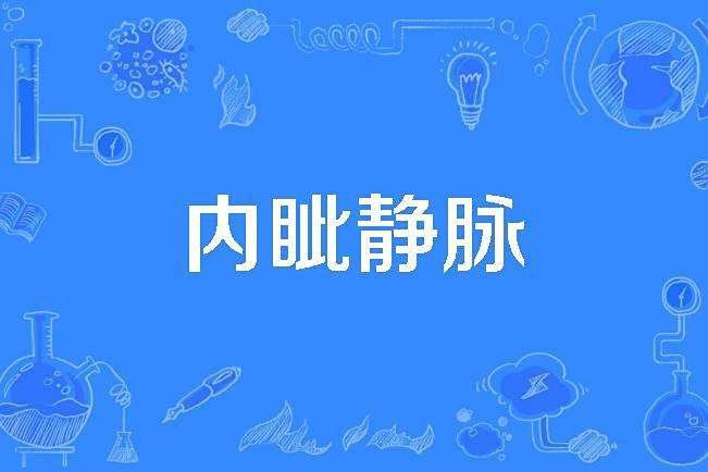 內眥靜脈 內眥靜脈