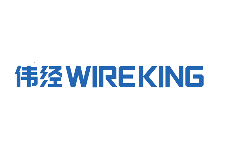 偉經 偉經
