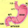 震水音 震水音