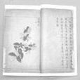 履巉岩本草