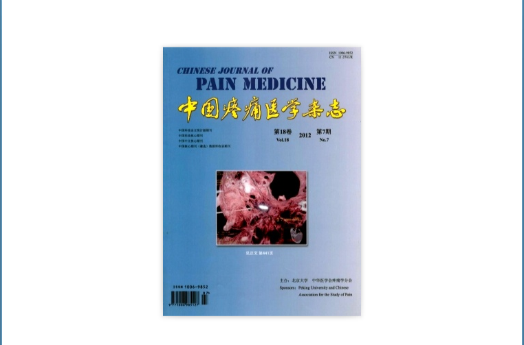 中國疼痛醫學雜誌