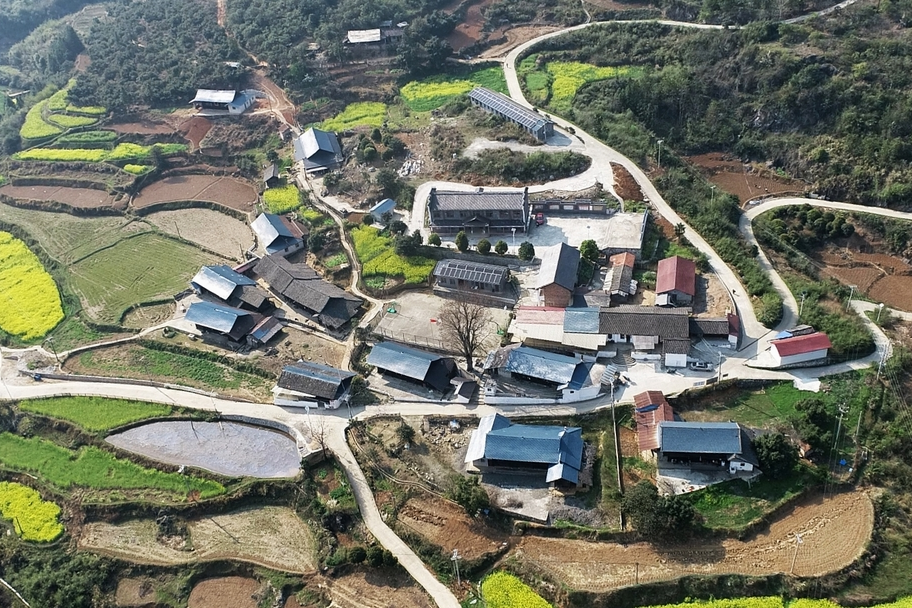 槐子坪村 槐子坪村