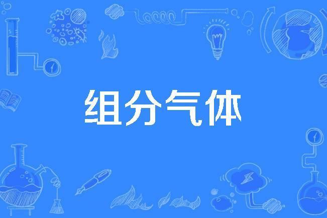組分氣體 組分氣體