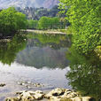 六科村(浙江省瑞安市湖嶺鎮下轄村) 六科村(浙江省瑞安市湖嶺鎮下轄村)