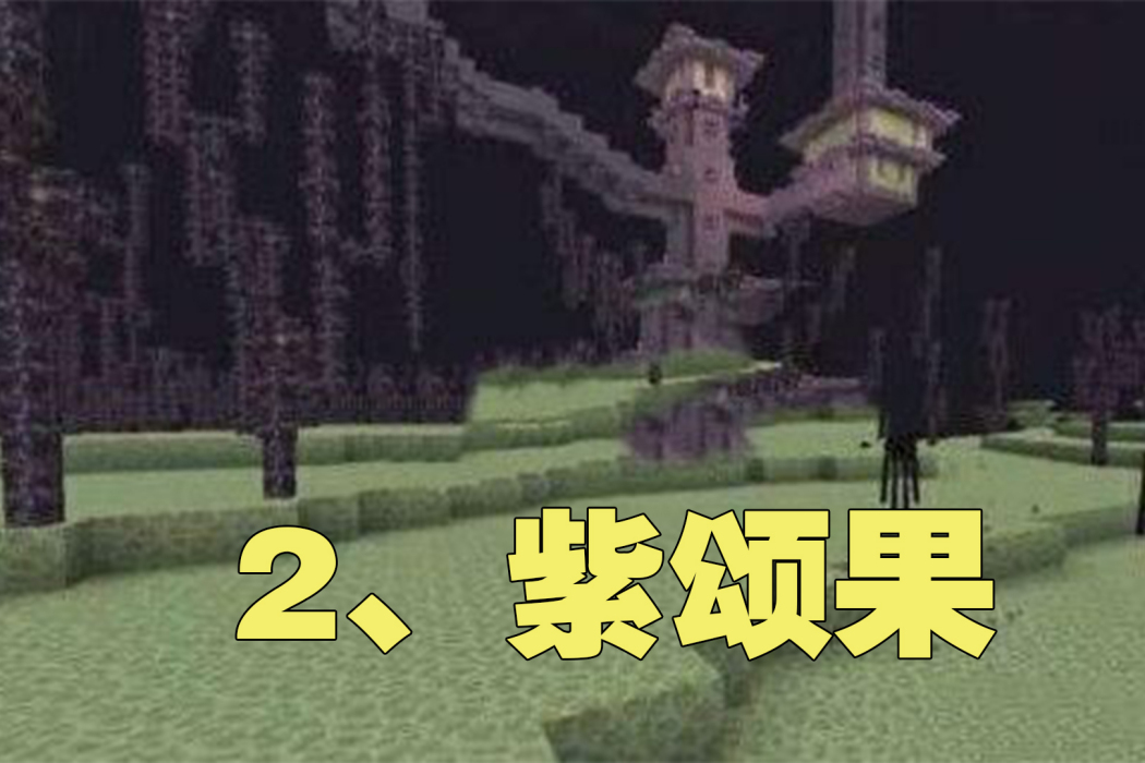 紫頌果 紫頌果