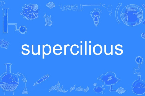 supercilious supercilious