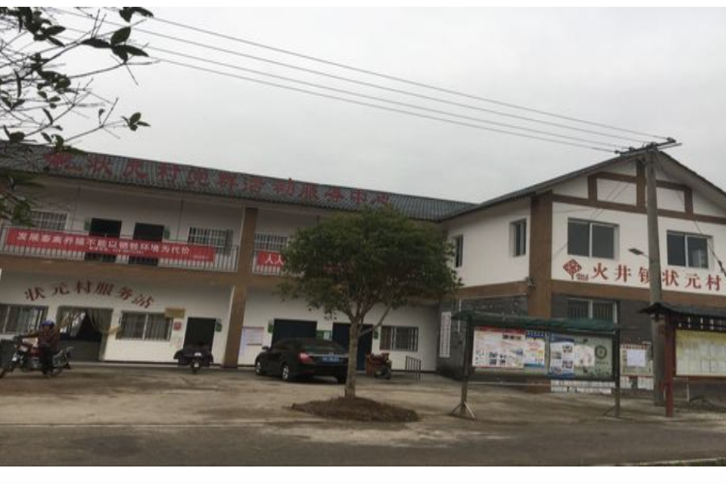 狀元村(四川省邛崍市火井鎮下轄村)