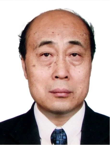 李玉良(中國科學院院士)