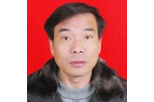 吳廣文(武漢工程大學教授) 吳廣文(武漢工程大學教授)