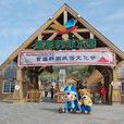韓菲樂園 韓菲樂園